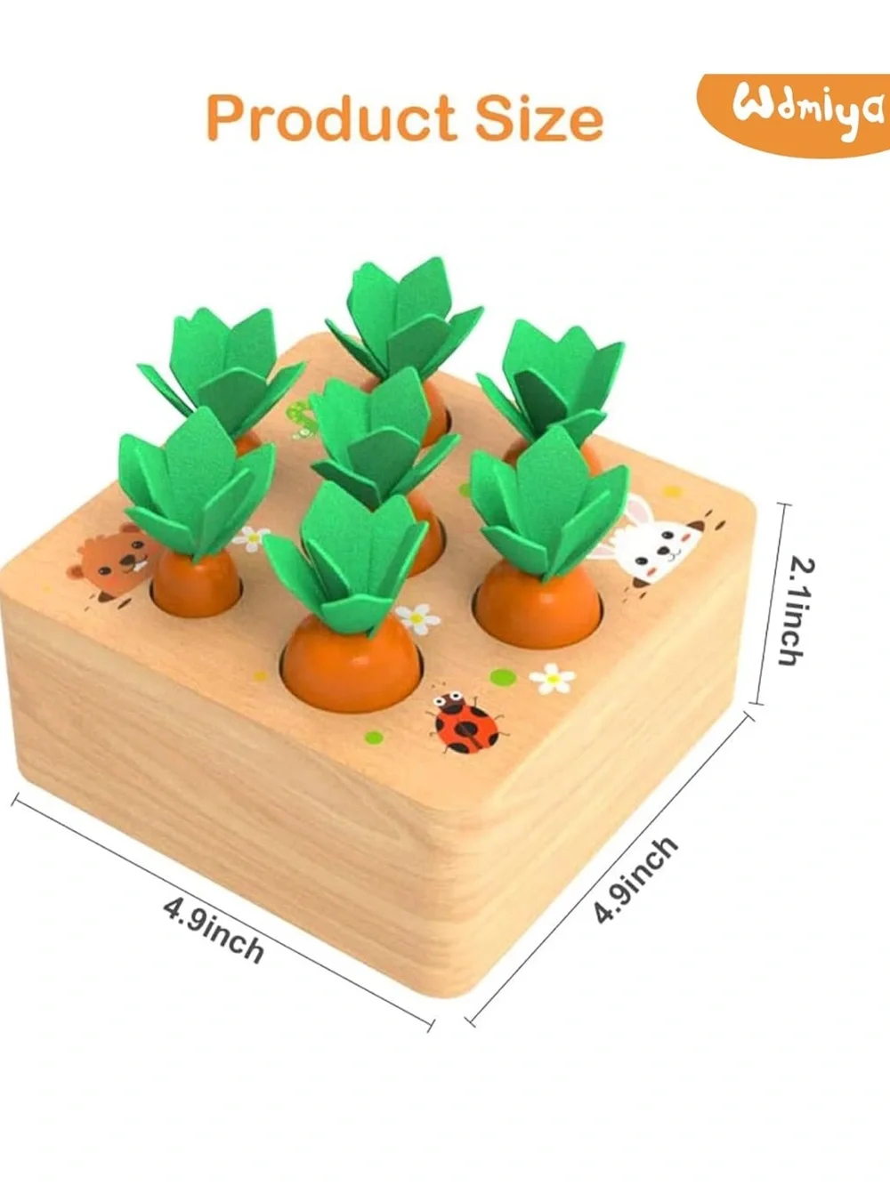Montessori Carrot Harvest